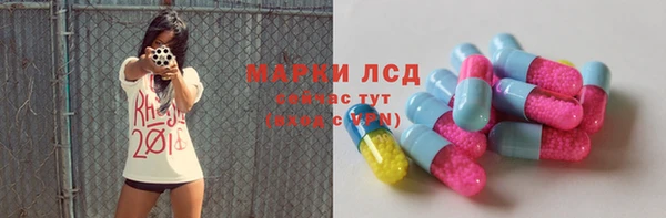 PSILOCYBIN Корсаков