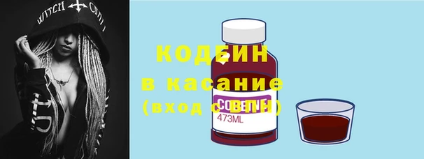PSILOCYBIN Корсаков