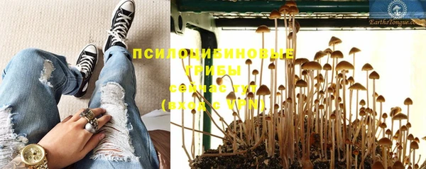 PSILOCYBIN Корсаков
