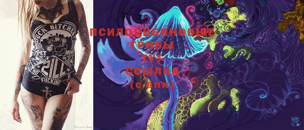 PSILOCYBIN Корсаков