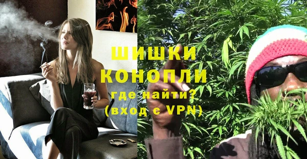 PSILOCYBIN Корсаков