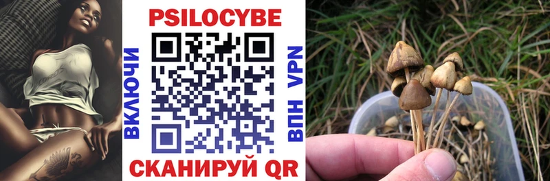 где найти наркотики Энгельс Псилоцибиновые грибы Psilocybine cubensis